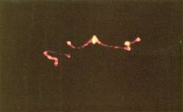 The Rendlesham Forest Incident