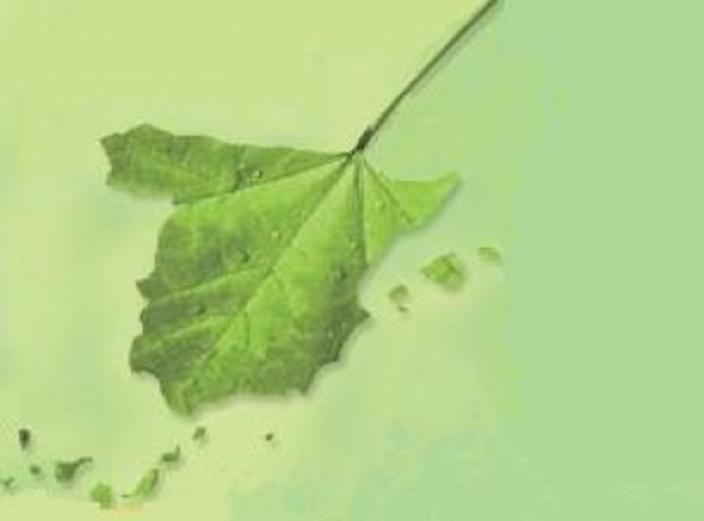 I Jornadas Nacionales de Educación Ambiental. (Sitges)