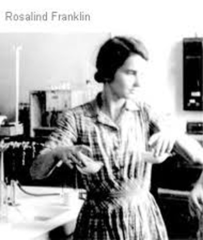 Rosalind Franklin and Maurice Wilkin