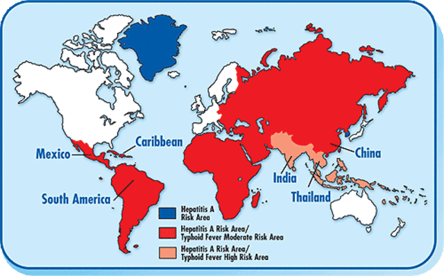 Typhoid Fever in South America