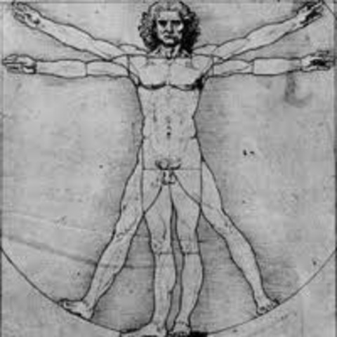 Began focusing on physiology