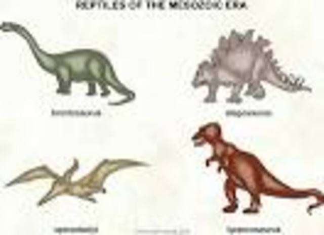 Mesozoic Era
