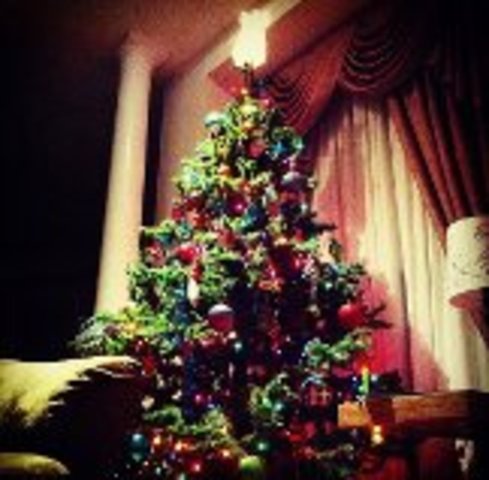 Amrita's First Ever Christmas!!