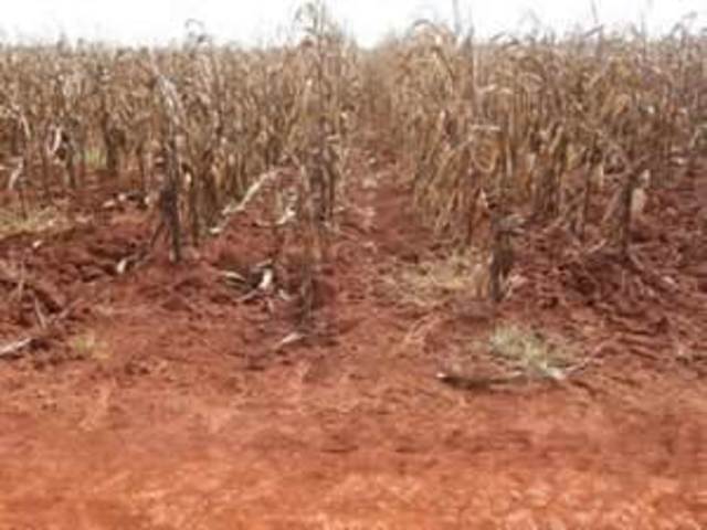 Famine and hardship hit