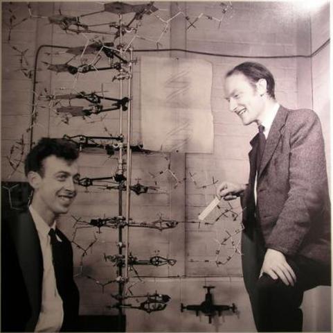 James Watson , Fancis Crick-DNAstructure