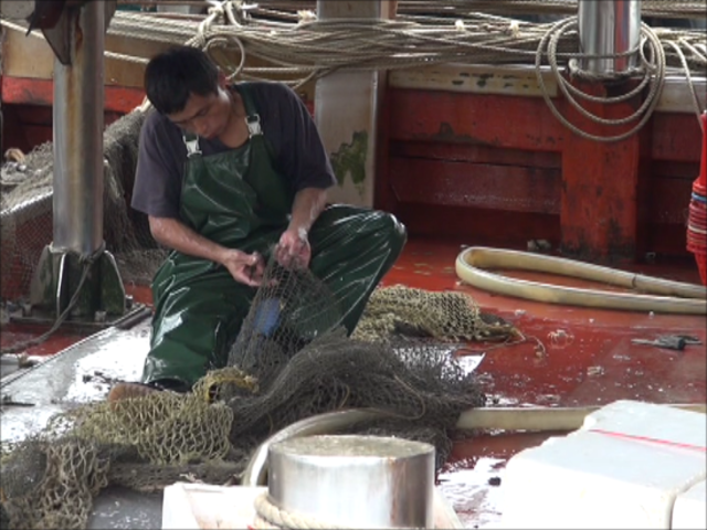 即日起禁止於本港進行拖網捕魚