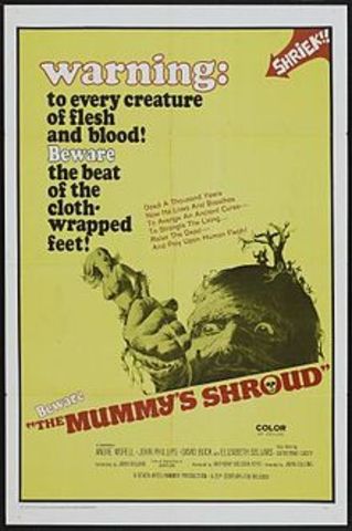 The Mummy's Shroud