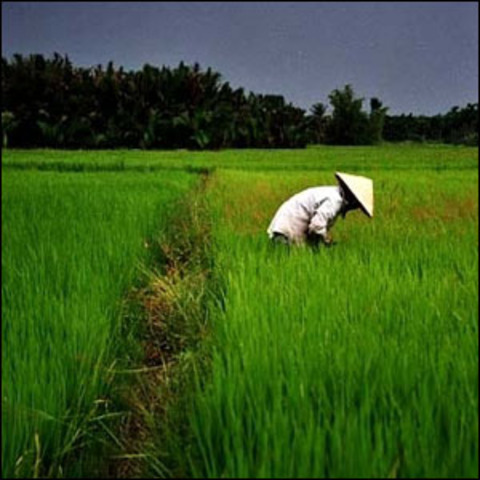 Flourishing Agriculture