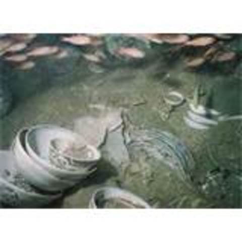 Decline of the Ming Dynasty