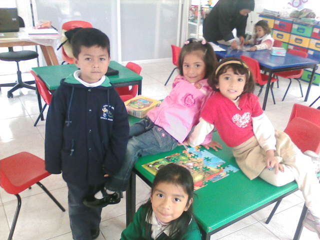 Teorias psicoanaliticas