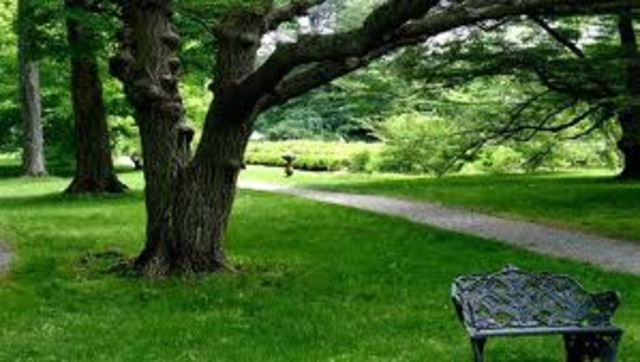 telegraph between baltimore and washington D.C.