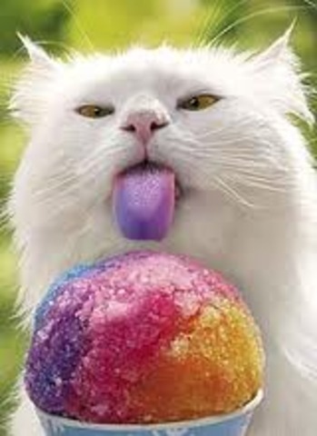 The Second Day of Christmas