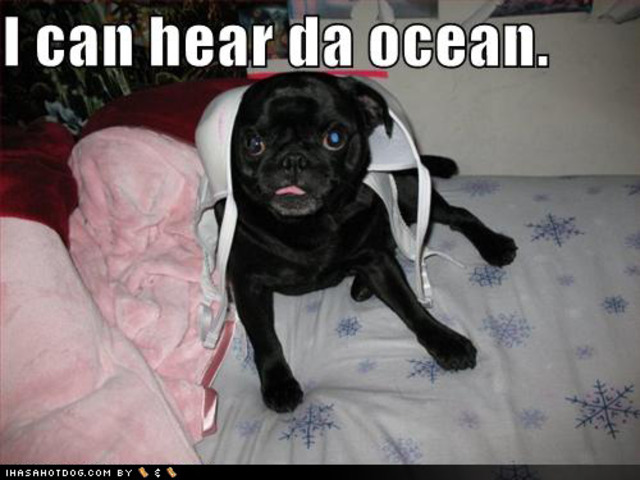 The Third Day of Christmas!!!