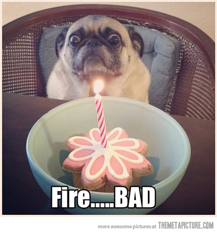 The Fourth Day of Christmas!!!!