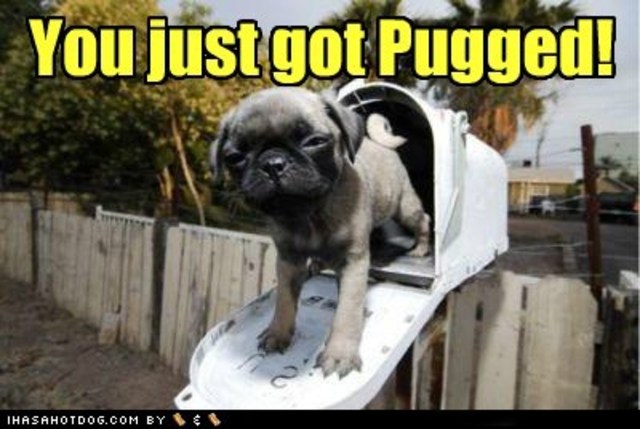 The Seventh Day of Christmas!!!