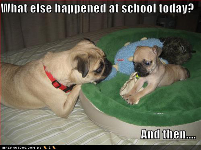 The Eighth Day of Christmas!!!