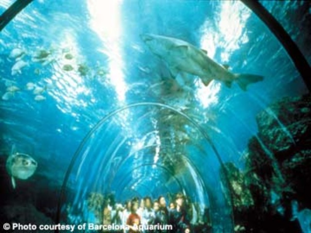 L'Aquarium de Barcelona