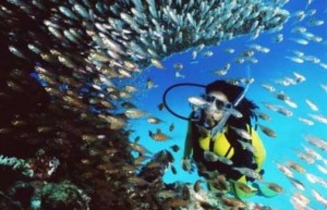 Gran Barrera de Coral