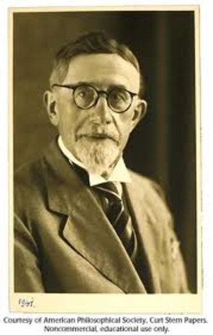 Erich von Tschermak-Seysenegg