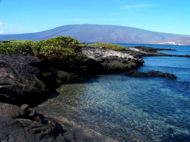 Darwin is put on the Galapagos Islands