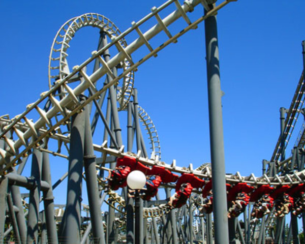 when i went to wonderland for the first time