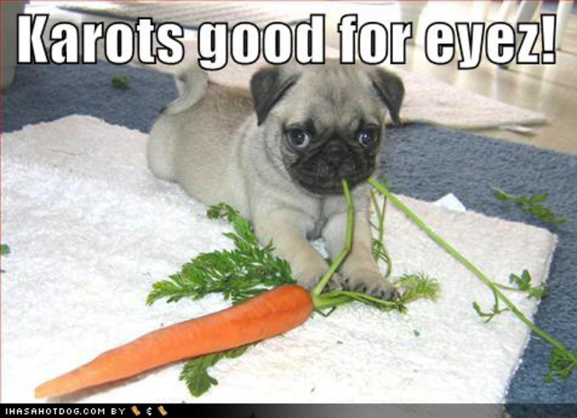 The Tenth Day of Christmas!!!