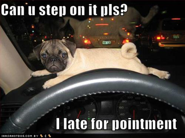 The Twelfth Day of Christmas!!!