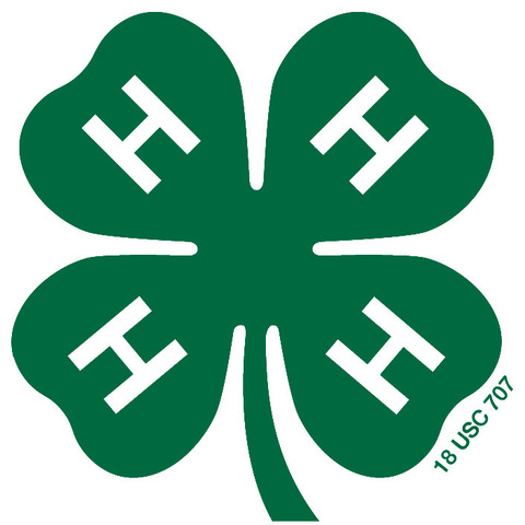 Joined 4-H