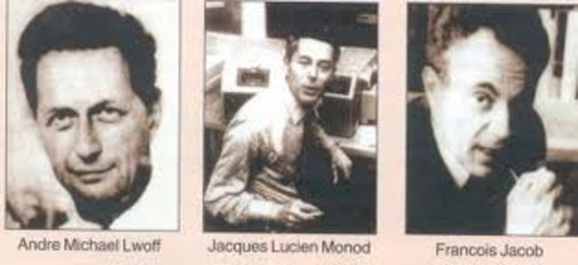 Jacques Monod and François Jacob