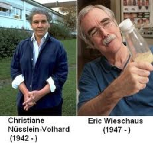 CHRISTIANE NÜSSLEIN-VOLHARD and Eric Wieschaus