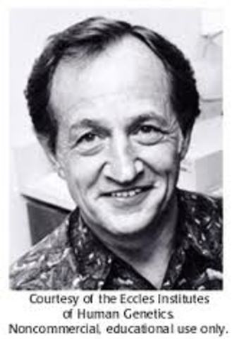 MARIO RENATO CAPECCHI