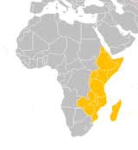 Portuguese found factiories in Africa
