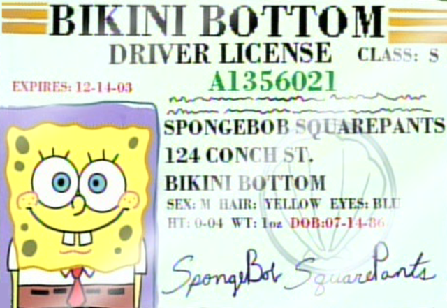 drivers licence 2014