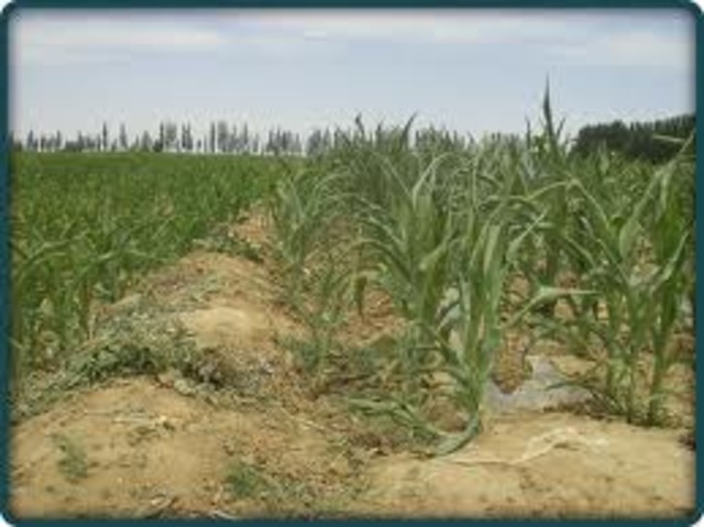 Chinese Population Growth