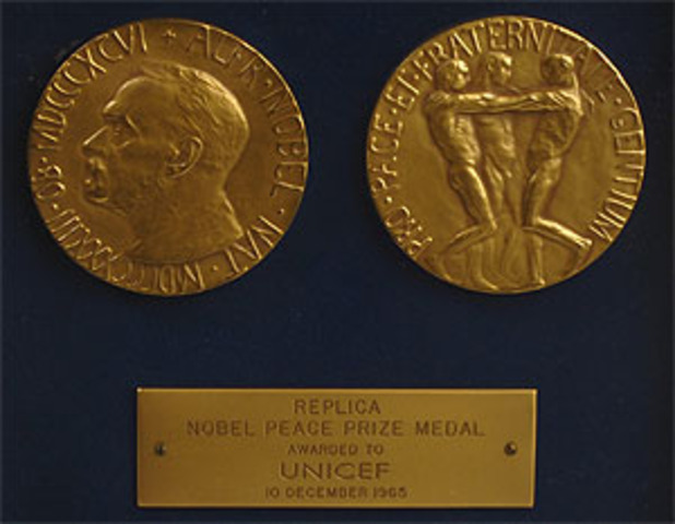 Awarded the Novel Peace Prize