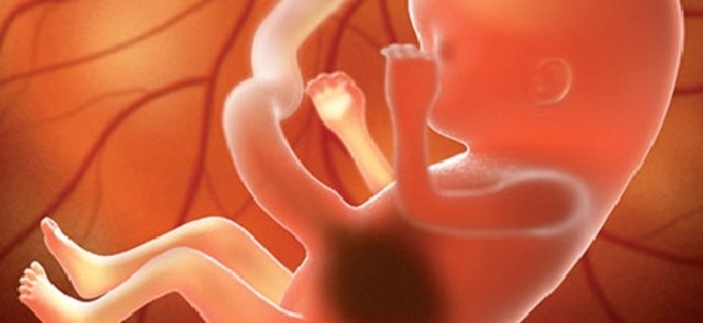 Cuarto mes de gestación