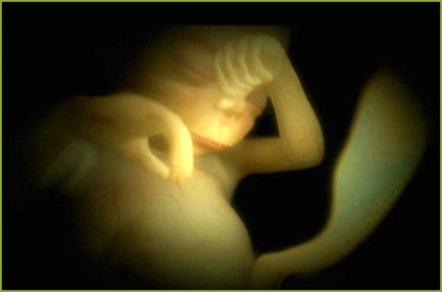 Sexto mes de gestación