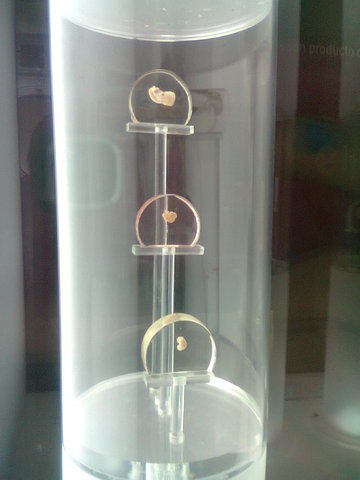 4° semaa de gestacion