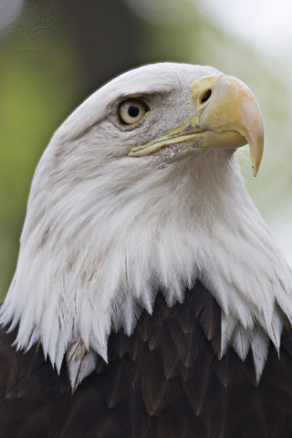 Wisconsin becomes part of US territory