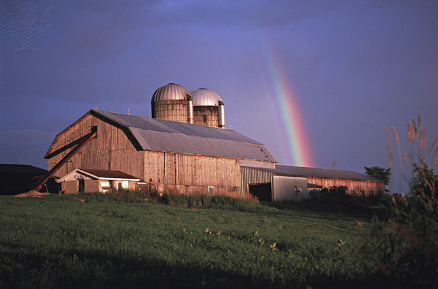 NO MORE HARMING THE ENVIRONMENT!