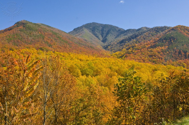 The Smoky Mountains National Park Opens!