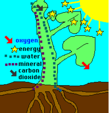 WHERE DO THE OTHER ELECTRONS GO?!