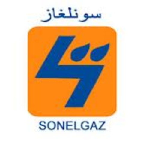 Création de Sonelgaz (SOciété Nationale de l’Electricité et du GAZ)