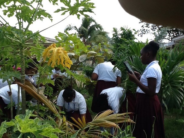 Students Begin to Use iPads in the Field