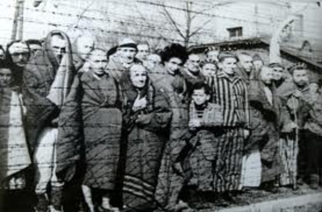 Auschwitz Liberated