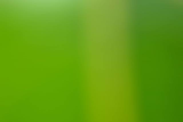 SUJETO Y SU FORMACION