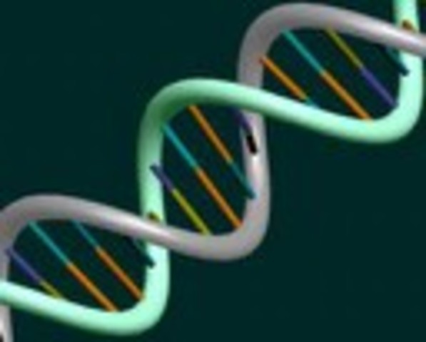 LE HELIX DE ADN A DECOUVERT