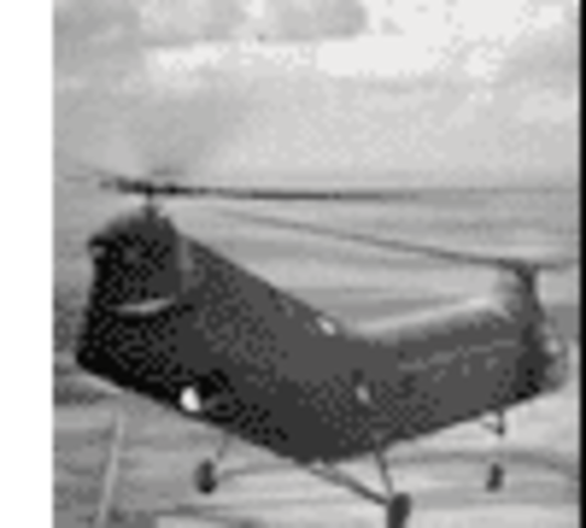Operation Chopper