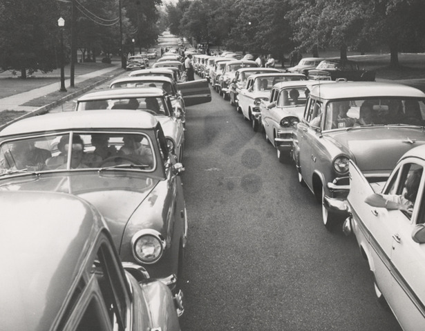 Car ownership up to 60%