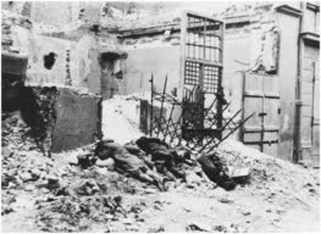 Jews fighting Natzis